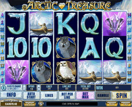Arctic Treasure second screenshot showcasing features