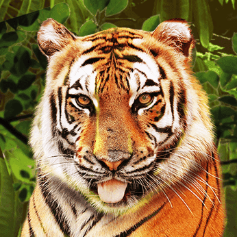 Gameplay screenshot demonstrating features of Big Cat Rescue Megaways on SafeGameHub.