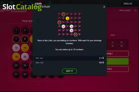 Keno screenshot capturing thrilling in-game action for SafeGameHub users.