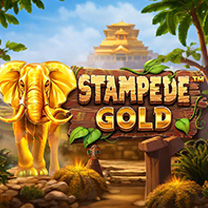 BetSoft Stampede Gold Game at SafeGameHub
