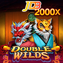 Double Wilds game cover image