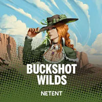 Buckshot Wilds game image with western adventure themes available on SafeGameHub.