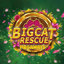 Screenshot from RT Big Cat Rescue Megaways showcasing gameplay on SafeGameHub.