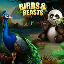 Promotional image for WG Birds Beasts game at SafeGameHub.
